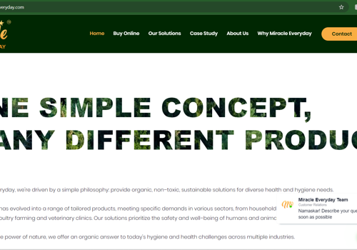 Web Design Package Example: Website Design of Miracle Everyday