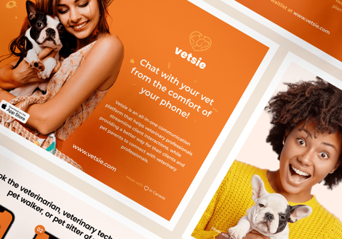 Web Design Package Example: App & Web Design for Pet Health Company