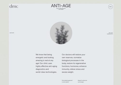 Web Development Package Example: DMC dental clinic