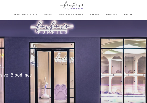 E-Commerce Development Package Example: FouFou's Puppies