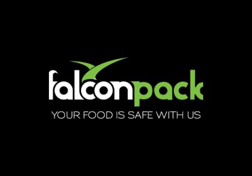 Web Development Package Example: Falcon Pack | Website Design & Development