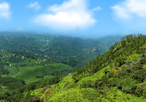 Social Media Marketing Package Example: Social Media Marketing for Nature Zone