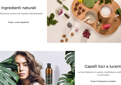 Web Development Package Example: Rica Web Development