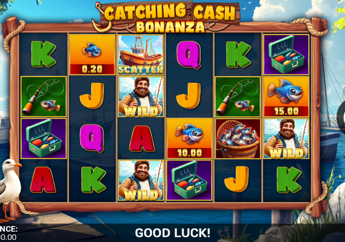 Custom Software Development Package Example: Catching Cash Bonanza - slot game