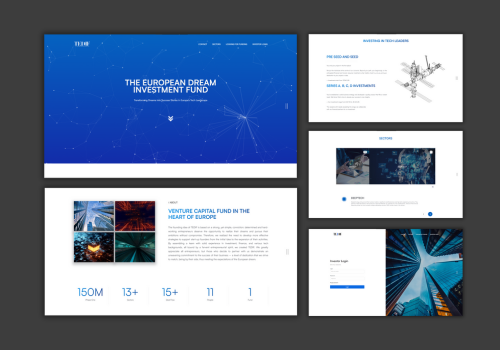 Web Design Package Example: The European Dream Investment Fund