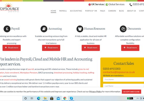 Search Engine Optimization Package Example: SEO Services for Payroll Company