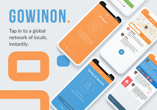 Mobile App Development Package Example: Gowinon