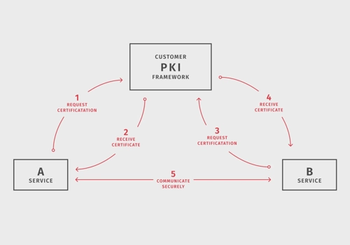 Custom Software Development Package Example: Securing communication between services