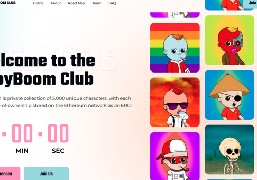 Web Design Package Example: Baby Boom NFT Web