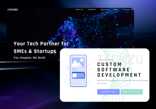 Web Development Package Example: Techzu