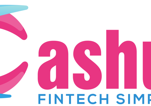 Web Development Package Example: Website and App Development