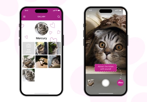 UX/UI Design Package Example: Growing up together with WHISKAS