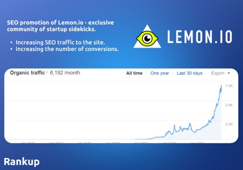 Business Consulting Package Example: Lemon.io