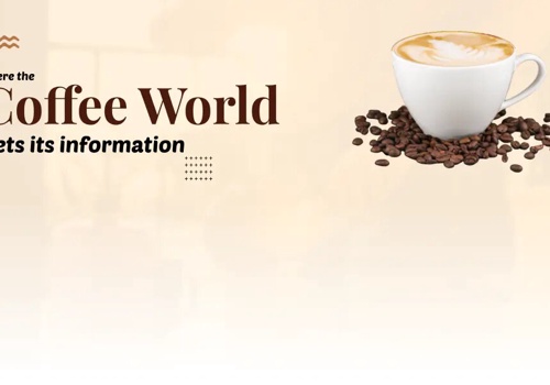 Search Engine Optimization Package Example: eCommerce Solutions for Lovers Coffee