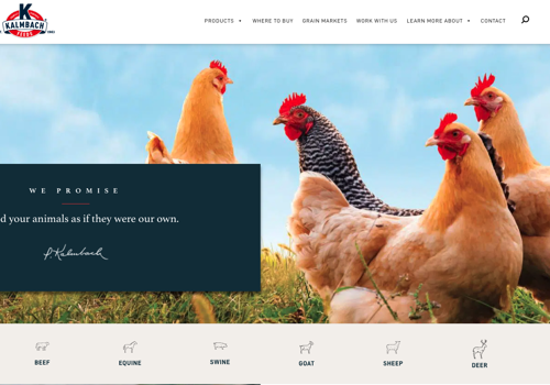 Search Engine Optimization Package Example: SEO and Content Marketing