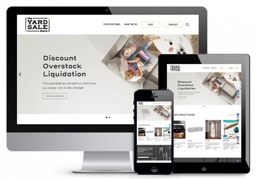 Web Design Package Example: Product Showcase Website