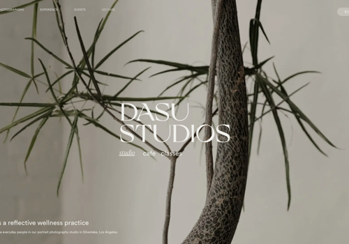 Web Development Package Example: WordPress Developer for studio site. Typeform