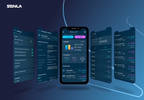 Web Development Package Example: Apps for a New Cryptocurrency