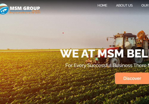 Web Design Package Example: MSM Group: Nigeria