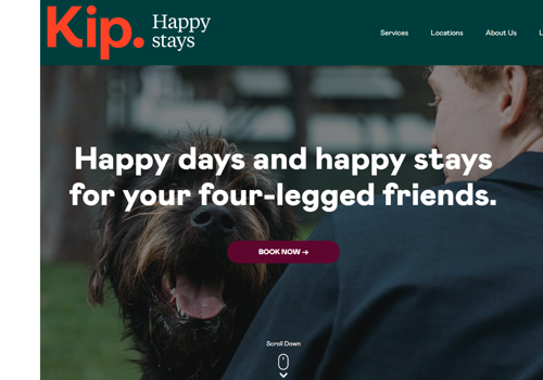 Web Design Package Example: Kip Website Design