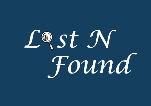 Web Development Package Example: Lost N Found