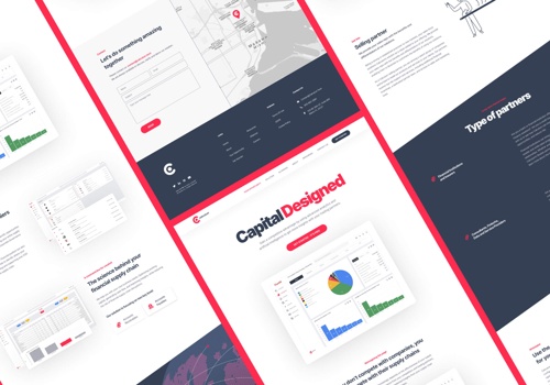 Web Development Package Example: Calculum / Design / Animations / Webflow & VueJS