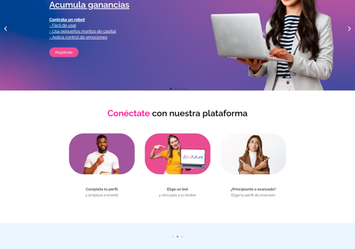 Custom Software Development Package Example: website trading