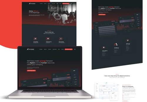 Web Design Package Example: Redesign complete website in WordPress