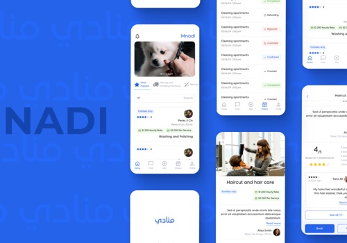 Mobile App Development Package Example: MNADI mobile and web application project