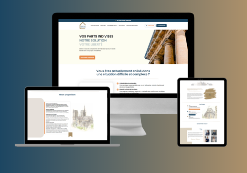 Web Design Package Example: Solution Indivision