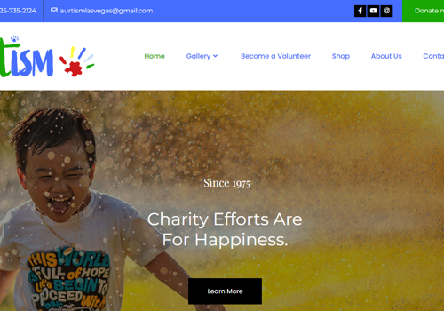 Web Design Package Example: National Aurtism Foundation