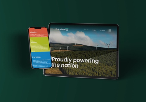Web Design Package Example: Future Energy Ireland Website