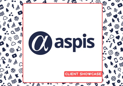 Web Design Package Example: Aspis Website Development