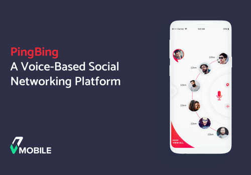 Mobile App Development Package Example: Social Networking Voice App