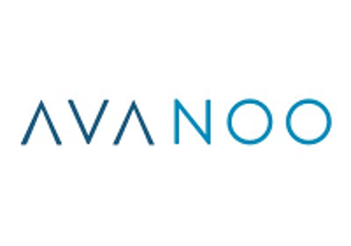 Marketing Strategy Package Example: Project with Avanoo