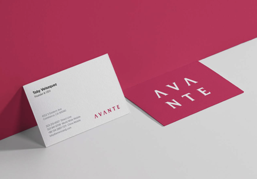 Branding Package Example: American Audio Product Rebrand