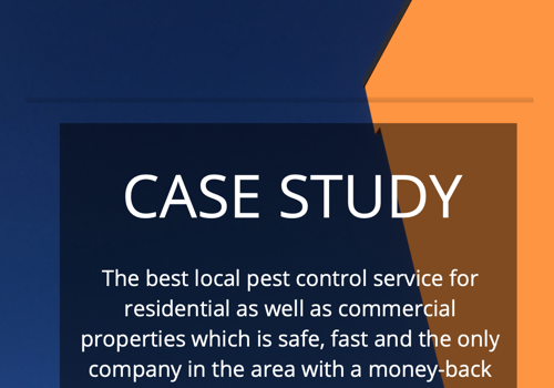 Search Engine Optimization Package Example: SEO Case Study - Pest Control - Traffic Doubled