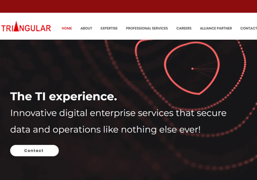UX/UI Design Package Example: Website Design and Development in WIX