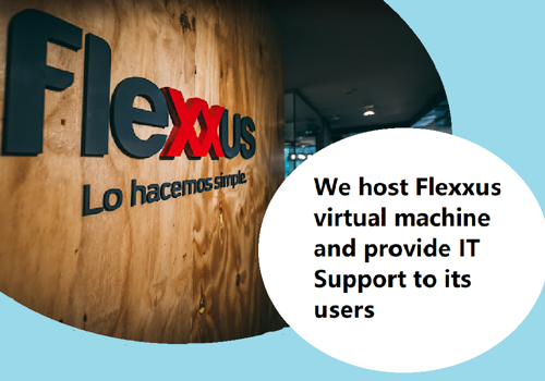 IT Strategy Consulting Package Example: User datacenter hosting and management