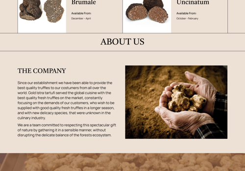Web Design Package Example: Gold Istra Web and Brand Development