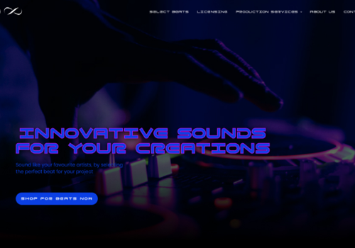Web Design Package Example: CRO WordPress Corporate Website | Music Production