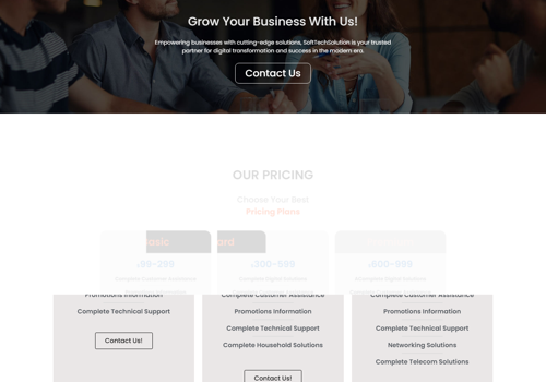 Web Development Package Example: Soft Tech Solution