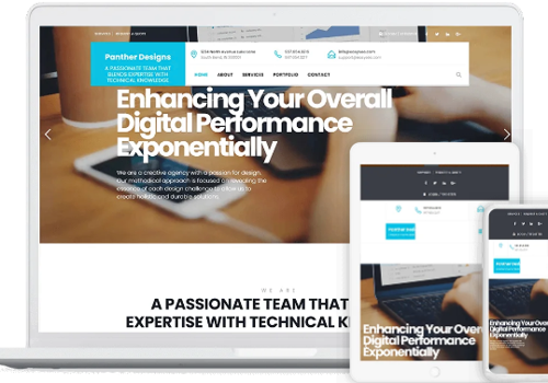 Web Development Package Example: Panther Design