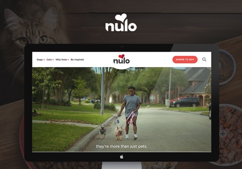 Web Development Package Example: Nulo