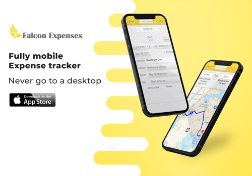Custom Software Development Package Example: FALCON EXPENSES — Expense Tracking Software