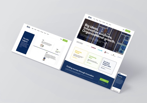 Branding Package Example: Ibis Logo and Website Design