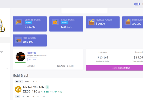 Web Development Package Example: ROI MLM Software Development