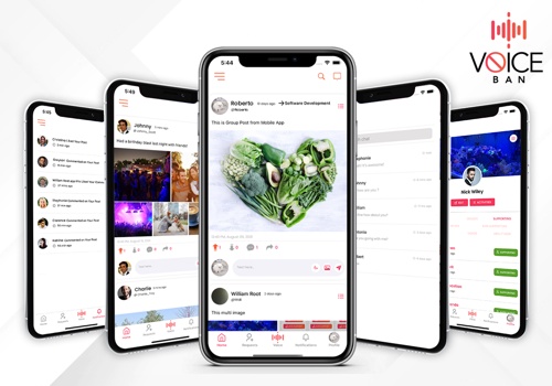 Mobile App Development Package Example: VoiceBan
