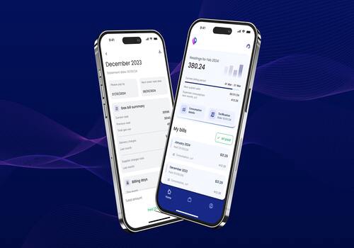 Mobile App Development Package Example: Case: VoltVault