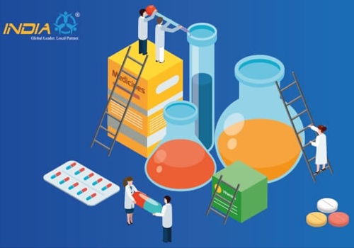 Web Development Package Example: A website for Global Pharmaceuticals Distributor